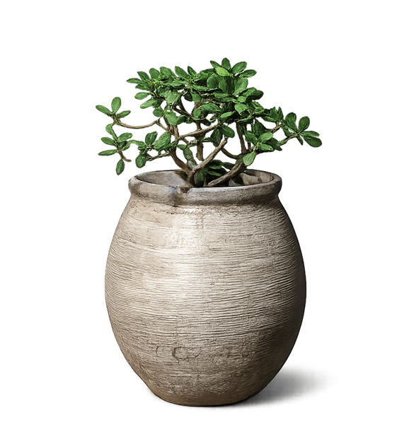 Product Items Images