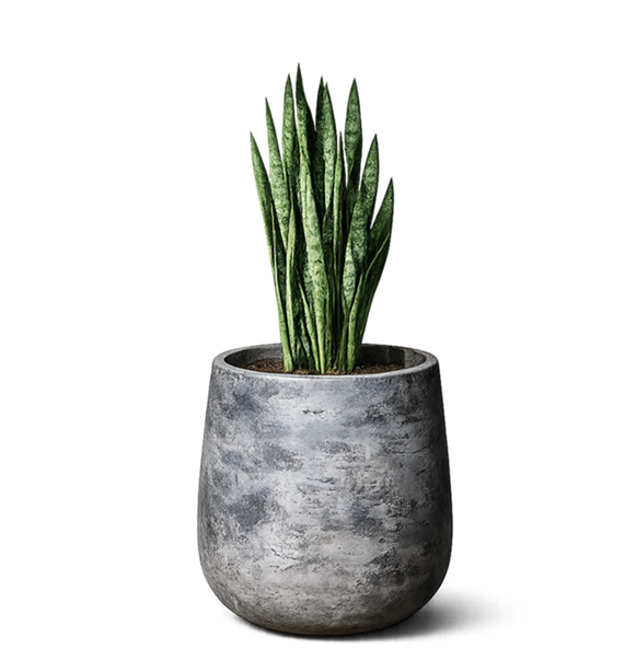 Product Items Images